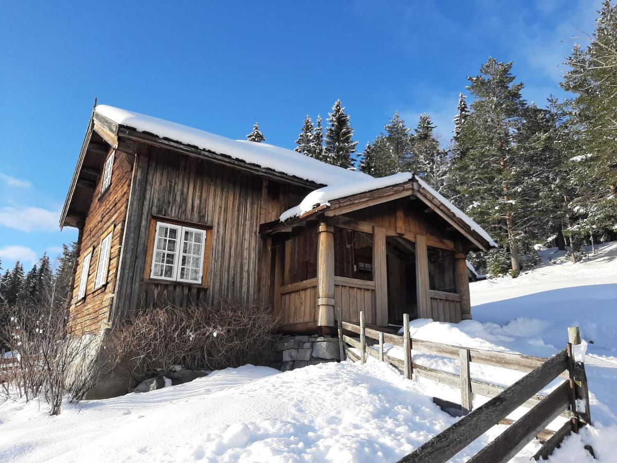 Gamlestugu Greivjord Fjellgard Villa Tuddal Eksteriør billede